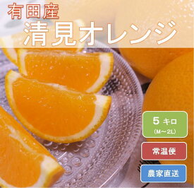 ZN6001_和歌山県有田産 完熟清見オレンジ ひとつひとつ丁寧に厳選！生産者から直送