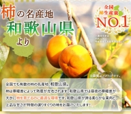 G6051_紀州かつらぎ山の食べやすい干し柿 化粧箱入 25g×10個