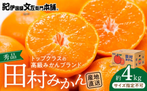 V7453_田村みかん／4kg秀品 【サイズ指定なし】 179623 - 和歌山県湯浅町