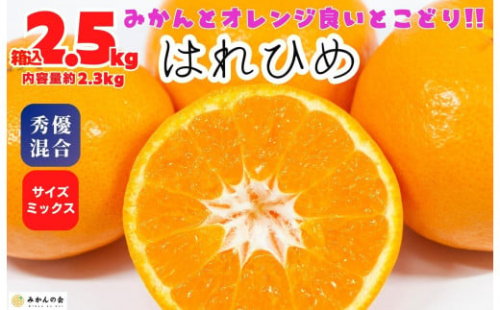 はれひめ みかん 箱込 2.5kg（内容量約 2.3kg） 秀品 優品 混合 サイズミックス 和歌山県産 産地直送【みかんの会】 1796316 - 和歌山県有田川町