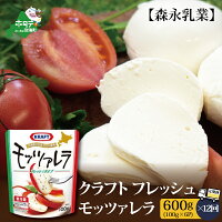 【定期便】森永乳業 モッツァレラチーズ 600g(100g×6P) × 12ヵ月【全12回】 179660 - 北海道別海町