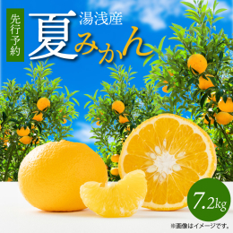 ◆説明 ほのかな甘みを包み込むような酸味を感じます。初夏の時期に食べられるミカンと言う事で夏ミカンと呼ばれるようになりました。 ジャム(マーマレード)やゼリー、お菓子の材料などに適しています。砂糖をま