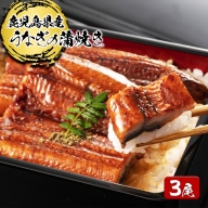 B2-4505／鹿児島県産うなぎ蒲焼き　3尾セット