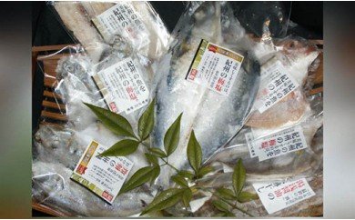 ZD6178n_和歌山の近海でとれた新鮮魚の鯛入り梅塩干物と湯浅醤油みりん干し7品種11尾入りの詰め合わせ 179730 - 和歌山県湯浅町