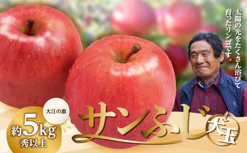 大江の恵み 大玉サンふじ約5kg・秀以上(14～18玉) 【2025年12月中旬発送予定】 【003-029】 1797900 - 山形県大江町