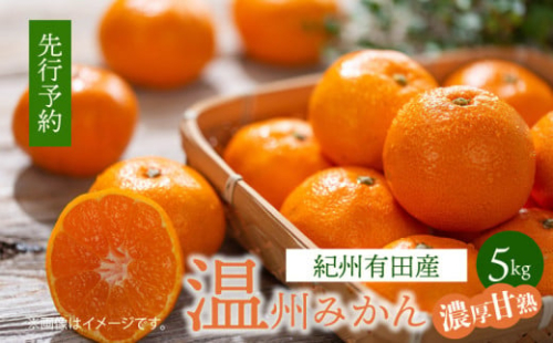 G7344_【2025年 先行予約】紀州 有田産 濃厚甘熟 温州みかん 5kg (小粒サイズ) 179828 - 和歌山県湯浅町