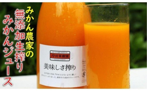 無添加生搾り!果汁100%濃厚みかんジュース2本セット 179840 - 大分県国東市