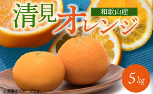 G7066_【2026年先行予約】とにかくジューシー 清見 オレンジ 5kg 179850 - 和歌山県湯浅町