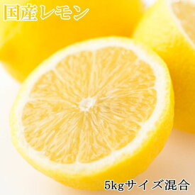 ZD6220_【産直】和歌山産 レモン 5kg (サイズ混合) 179855 - 和歌山県湯浅町