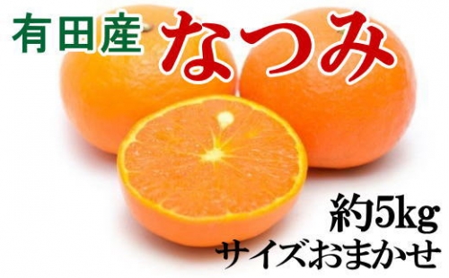 【希少柑橘】有田産なつみ約5kg（S～2Lサイズおまかせ）【tec880】 179892 - 和歌山県北山村