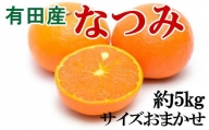 【希少柑橘】有田産なつみ約5kg（S～2Lサイズおまかせ）【tec880】