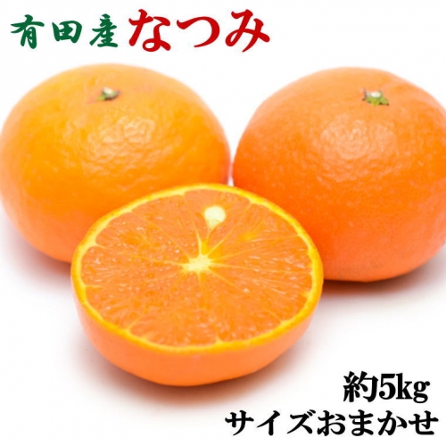 【希少柑橘】有田産なつみ約5kg(S～2Lサイズおまかせ) 179897 - 和歌山県新宮市