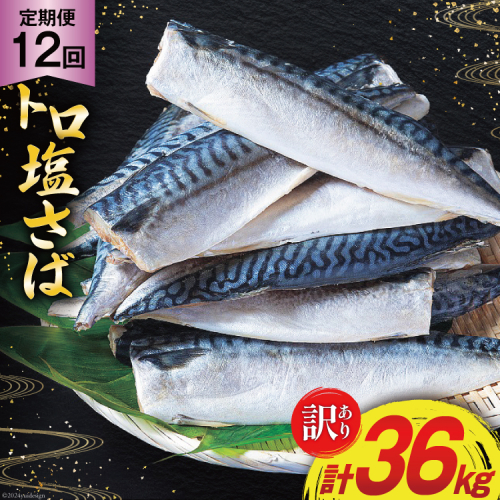 12回 定期便 訳あり 塩サバ フィレ 3kg 総計36kg [足利本店 宮城県 気仙沼市 20564960] 魚介類 魚 サバ サバフィレ さば 鯖 サバフィーレ 鯖フィレ 切り身 冷凍 訳アリ 訳ありサバ 大容量 わけあり トロ 1799162 - 宮城県気仙沼市