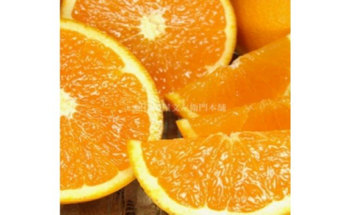 V7030_清見オレンジ 約4.5kg 湯浅町田村産 春みかん（果実サイズおまかせ）/ 紀伊国屋文左衛門本舗 179923 - 和歌山県湯浅町