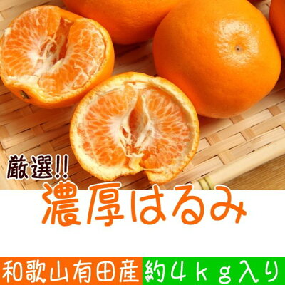 AB6048n_【先行予約】和歌山有田の濃厚 はるみ 4kg (2L～3Lサイズ) 179947 - 和歌山県湯浅町