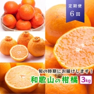 ZH6903_厳選★季節の柑橘定期便 3kg【奇数月・計6回】【頒布会】