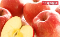 【早期受付！！6kg りんご 11月お届け】（品種、サイズおまかせ：ご自宅向け）