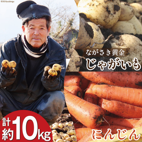 AI210 じゃがいも ＆ 人参 セット ( ながさき黄金＆冬人参 ) 約 10kg [ 野菜 野菜セット 詰め合わせ ジャガイモ にんじん ニンジン 10キロ 黄金 贅沢宝庫 長崎県 島原市 ] 1800335 - 長崎県島原市