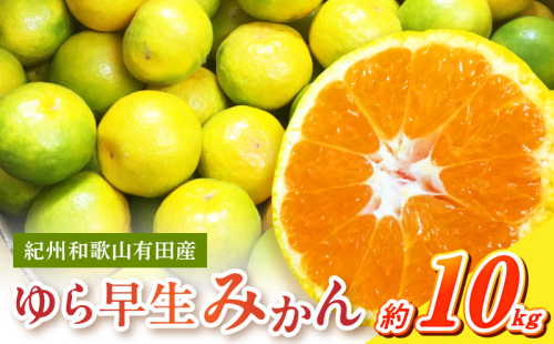 G7098_ 紀州和歌山有田産 ゆら早生みかん 10kg【ミカン 蜜柑 柑橘 温州みかん わせみかん】