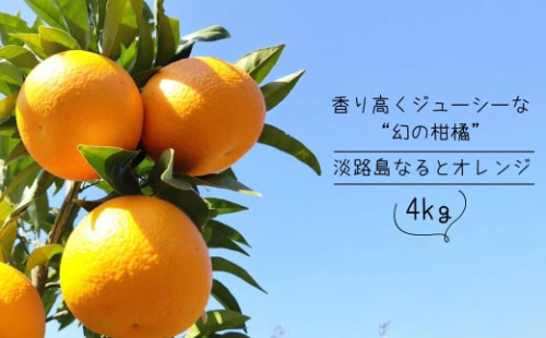 淡路島なるとオレンジ 4kg 【発送時期2026年3月～4月頃】 1801647 - 兵庫県淡路市