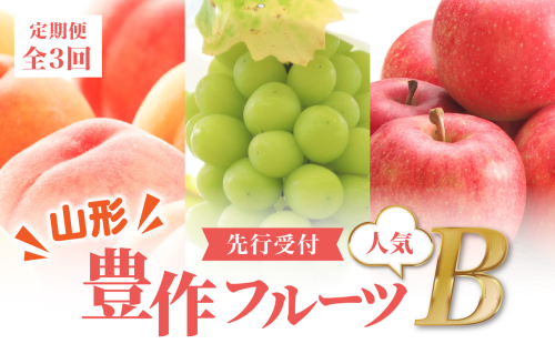 ≪先行受付≫ 山形豊作フルーツ人気Ｂ【定期便全3回】 【060-T03】 1801660 - 山形県大江町
