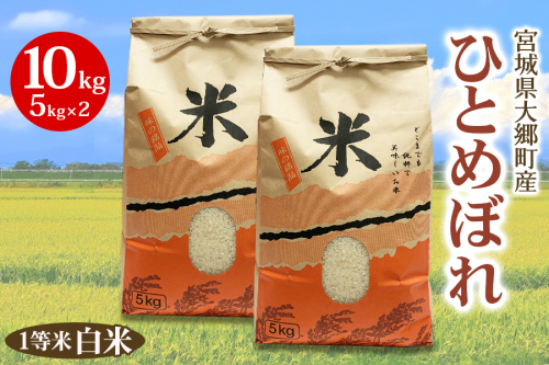 《令和6年産》宮城県 大郷町産 1等米 ひとめぼれ 白米 10kg(5kg×2袋)｜2024年 ひとめぼれ 米 お米 こめ 精米 宮城米 道の駅 [0225] 1801661 - 宮城県大郷町