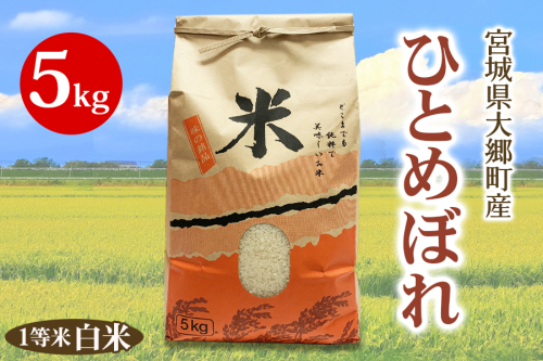 《令和7年産》宮城県 大郷町産 1等米 ひとめぼれ 白米 5kg×1袋｜2025年 ヒトメボレ 米 お米 こめ コメ 精米 宮城米 道の駅 [0250] 1801665 - 宮城県大郷町