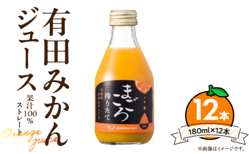 ZE6463_有田みかんジュース100％ 180ml×12本 180218 - 和歌山県湯浅町