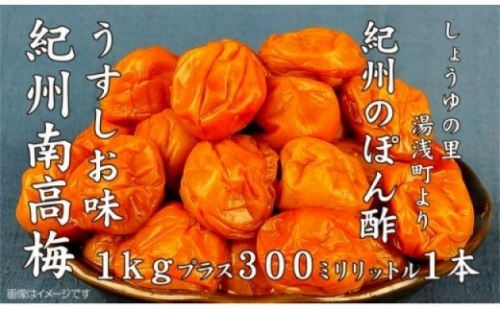 M6118n_紀州南高梅うすしお味 1kgとぽんず 1本 180249 - 和歌山県湯浅町