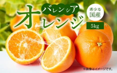 G7079_ 希少 国産 秀品 バレンシアオレンジ 5kg 果汁 豊富 糖度 高い 甘い 爽快感 香り 酸味 味わい スッキリ 栄養補給 柑橘 オレンジ 果物 フルーツ 果実 食品 食べ物 おやつ デザート お取り寄せ お取り寄せフルーツ 和歌山県 湯浅町 送料無料 180286 - 和歌山県湯浅町