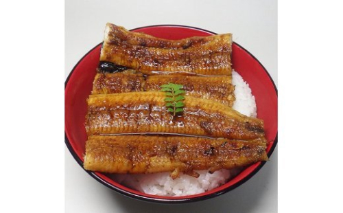 V6201_炭焼きうなぎ蒲焼　特大サイズ2尾セット（約200g前後×2尾）タレ・粉山椒付き　国産鰻　冷凍ウナギ　1尾ずつ真空パック　土用の丑の日　紀伊国屋文左衛門本舗 180291 - 和歌山県湯浅町