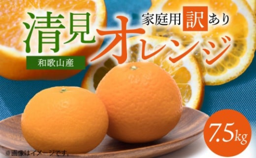 G7067_【2026年先行予約】紀州有田産 清見 オレンジ 7.5kg【家庭用 訳あり】 180328 - 和歌山県湯浅町