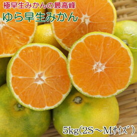 ZD92025n_有田産ゆら早生みかん 約5kg【極早生みかんの逸品】 180346 - 和歌山県湯浅町