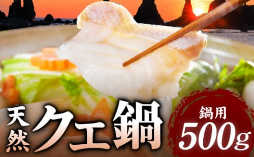 R1002_天然 クエ鍋 500g くえ鍋セット 幻の魚 魚 くえ鍋専門店 鍋用 上品 安定の品質 和歌山 湯浅町  180588 - 和歌山県湯浅町
