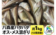 八森産ハタハタ オス・メス混ざり 約1kg(12尾前後) 秋田県産