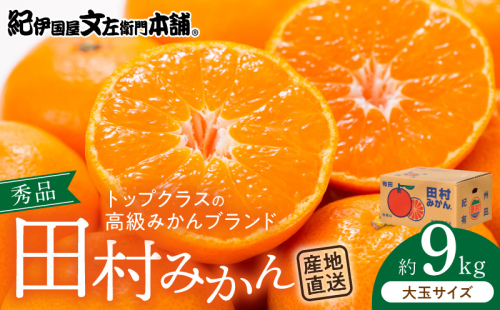 V7472_【2026年先行予約】田村みかん／9kg秀品【大玉サイズ】 180815 - 和歌山県湯浅町
