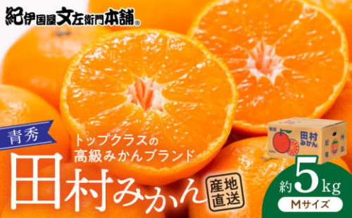 V7448_田村みかん／5kg青秀【Mサイズ】 180820 - 和歌山県湯浅町