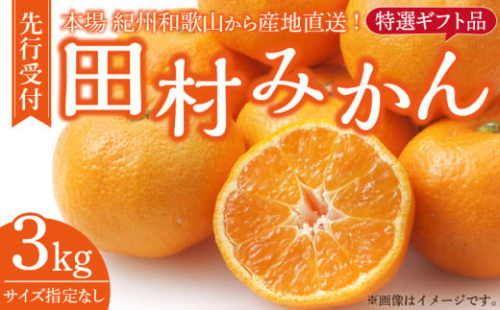 V7454_田村みかん／特選ギフト品3kg【サイズ指定なし】 180824 - 和歌山県湯浅町