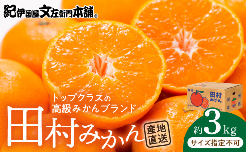 V7454_【2026年先行予約】田村みかん／特選ギフト品3kg【サイズ指定なし】 180824 - 和歌山県湯浅町