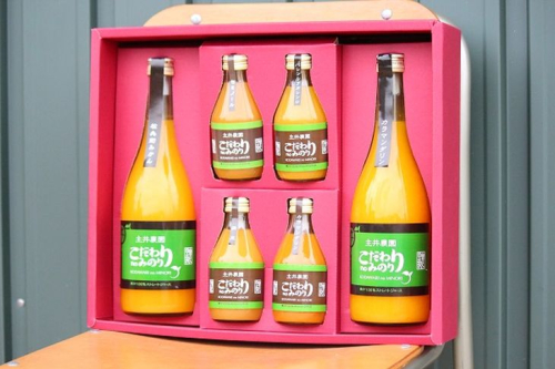 ZS6110_こだわりnoみのりジュース(贈答用)　詰め合わせセット　720ml×2　180ml×4 180870 - 和歌山県湯浅町