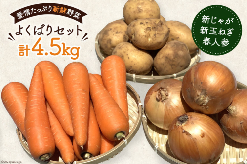 【令和8年度出荷分】AF156 新じゃがいも・新玉ねぎ・春人参のよくばりセット 180904 - 長崎県島原市