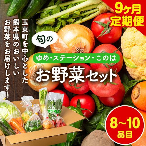 9ヶ月定期便】 季節の野菜詰め合わせセット 8～10品目 《お申込み月の