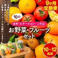 【9ヶ月定期】季節の野菜・フルーツ詰め合わせセット 10～12品目 《お申込み月の翌月から出荷開始》ゆめ・ステーション・このは 旬の野菜・フルーツ 果物 キャベツ じゃがいも にんじん トマト 大根 みかん 柑橘 梨 すいか メロン 桃