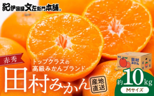 V7443_田村みかん／特選ギフト品10kg【Mサイズ】赤秀 181077 - 和歌山県湯浅町