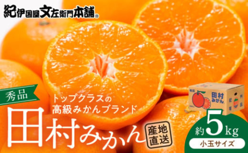 V7452_田村みかん／5kg秀品【小玉サイズ】 181078 - 和歌山県湯浅町