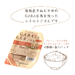 【ふるさと納税】GABA玄米もち麦パックごはん 4種類×各2 計12パック 鳥取産きぬむすめ JAアスパル 0589