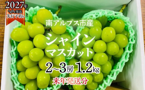 ★フジテレビ系列「ノンストップ」で取り上げられました！★＜2027年発送先行予約＞南アルプス市産シャインマスカット1.2kg以上（2～3房）　クール便発送 ALPAG007