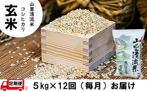 【定期便】山里清流米コシヒカリ玄米 5kg×12回(毎月) 108004 181193 - 石川県小松市