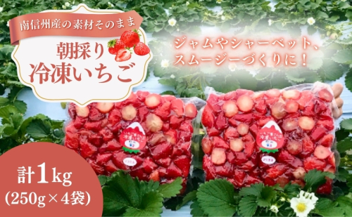南信州産「冷凍いちご」 1kg(250g×4袋) ヨッシャア駒ヶ根 果物類 苺 イチゴ 181275 - 長野県駒ヶ根市
