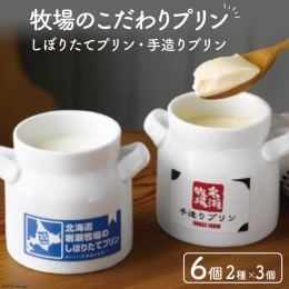 北海道の美味しさをお届けする贈り物。 陶器の器も可愛いいと評判です。 2種のこだわりプリンを贅沢に食べ比べ。 岩瀬牧場の牛乳だからできた自信作です。 ※とても柔らかいプリンですので、お取り扱いには十分